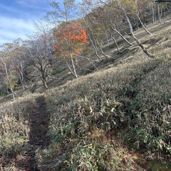 矢筈山のコースへ帰ってきました