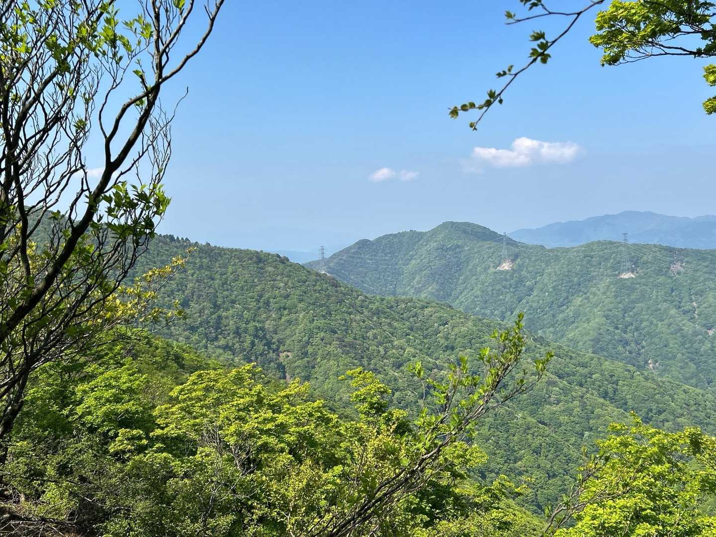 中央に　烏帽子岳が見えますが　頂上付近にうっすらとピンク🩷が見え，「きっとあそこは　シャクナゲ満開❣️」などと言いながら歩きました。