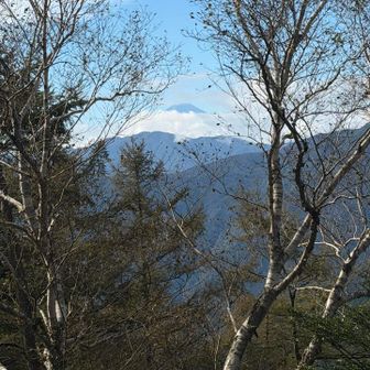 富士山が雲に溺れそうになっていた。