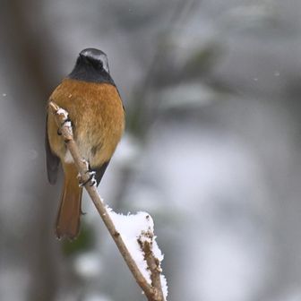 トリミング無しでもこのアップ…