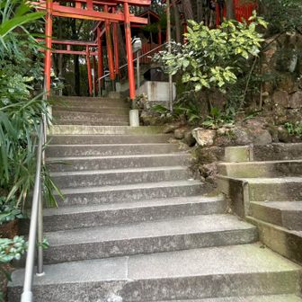 鳥居⛩をくぐりながら登ります🍀*゜