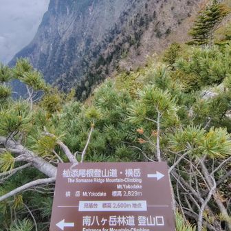 赤岳山行での再会を誓って下山再開💪