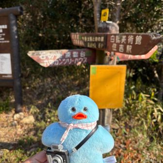 六甲最難関グレーピークハントへ♩もじょ様も💙