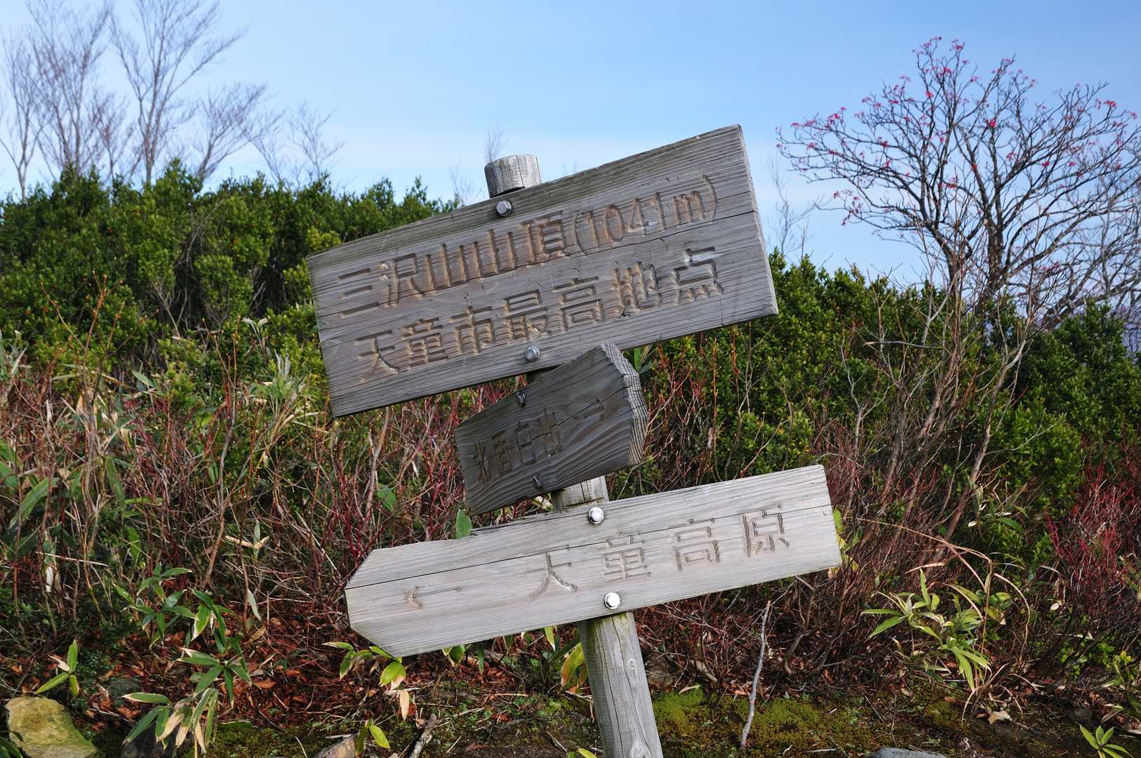 標高1,041m