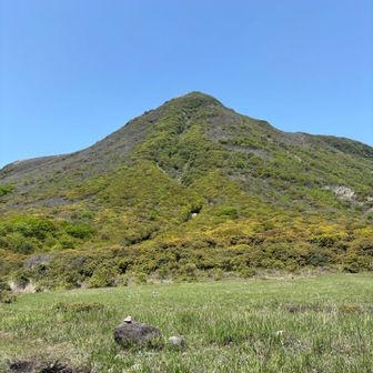 ここ降りました
