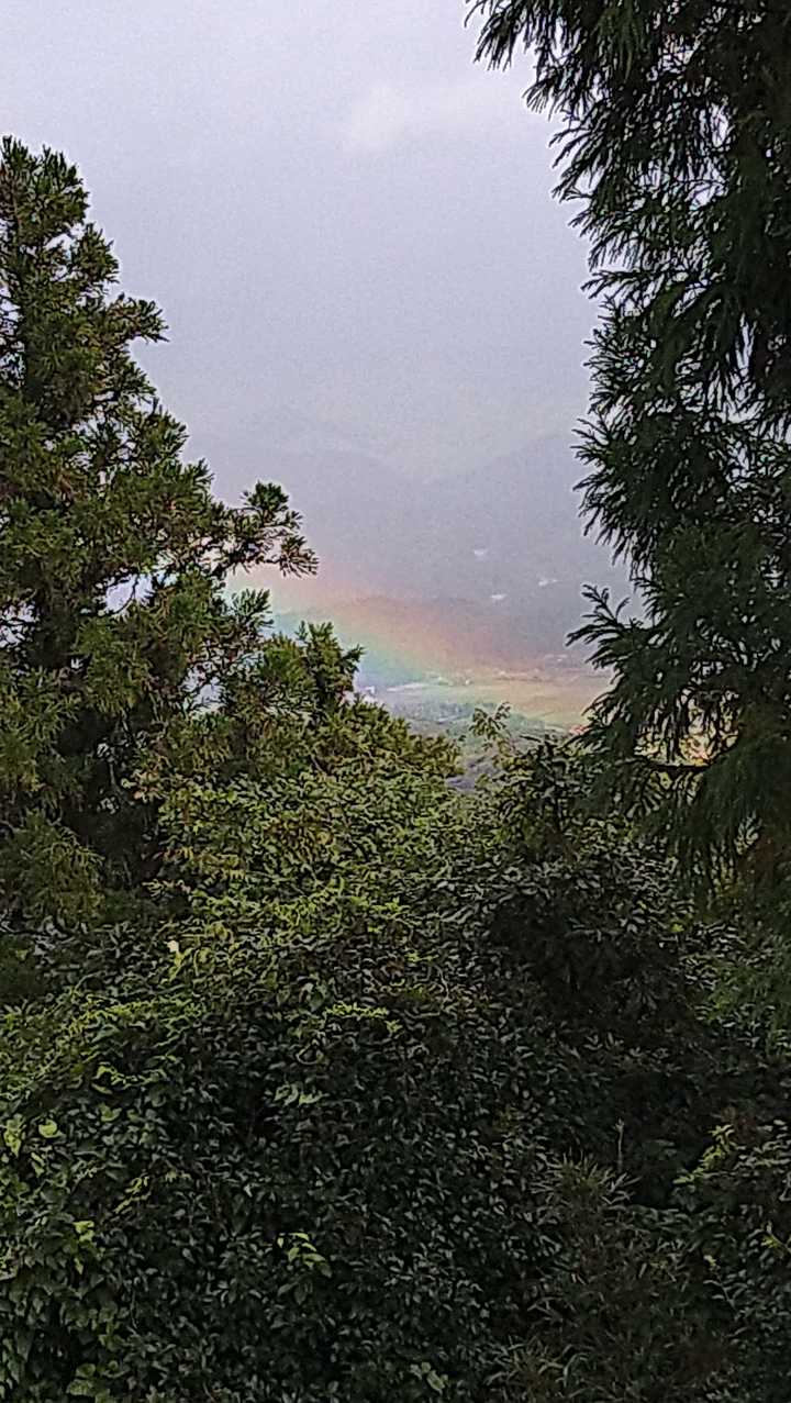 あ‼️虹🌈がっ🎶