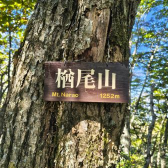 復路でグレーピークを一座訪れて帰る。
ここに来る途中、熊除けに笛を吹いてたのですが、吹く度に遠くから誰かが反応して笛を吹き返して来る。
最初は誰か人間が笛吹いてると思ってましたが、良く聞くとこれは鳥の鳴き声だと段々気付き始め、面白半分に何度もピッピ吹いてみたら鳥も意地になって鳴き返して来てめちゃ笑えました！😆
あの鳥は一体何だったんだろ？