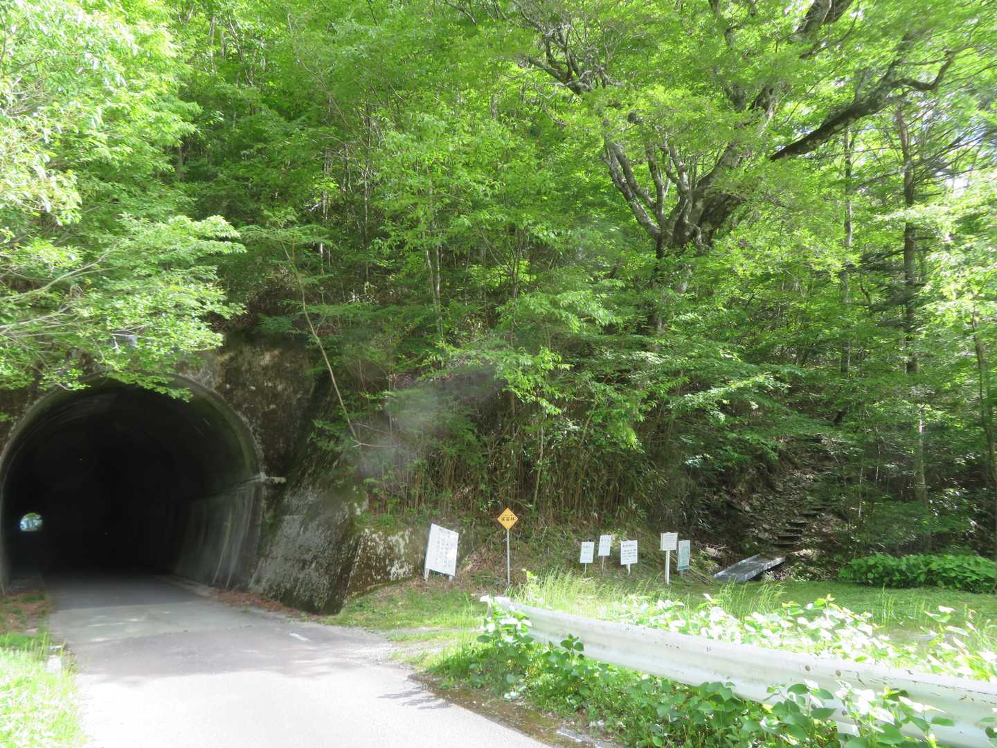 それ程早いスタートではないですが、先に来ていた車は１台のみ。
情報が乏しい中ですが、やっぱり時季が早い？？