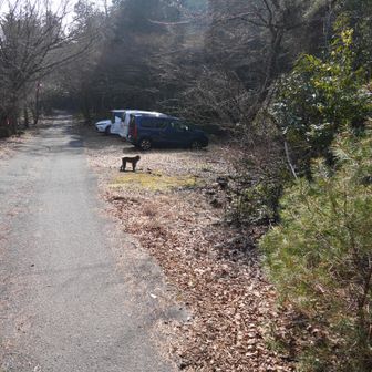 猿、慣れすぎ。。