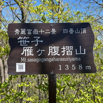 タイピングの練習になりそうな山名だな
