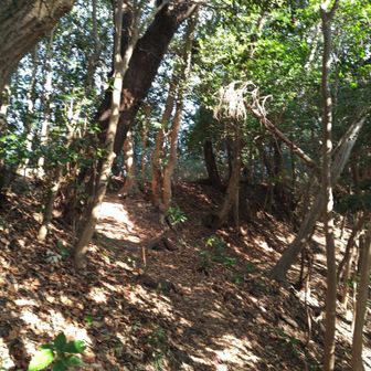 朝は清々しい〜😄

そのうち暑くなる…🌞