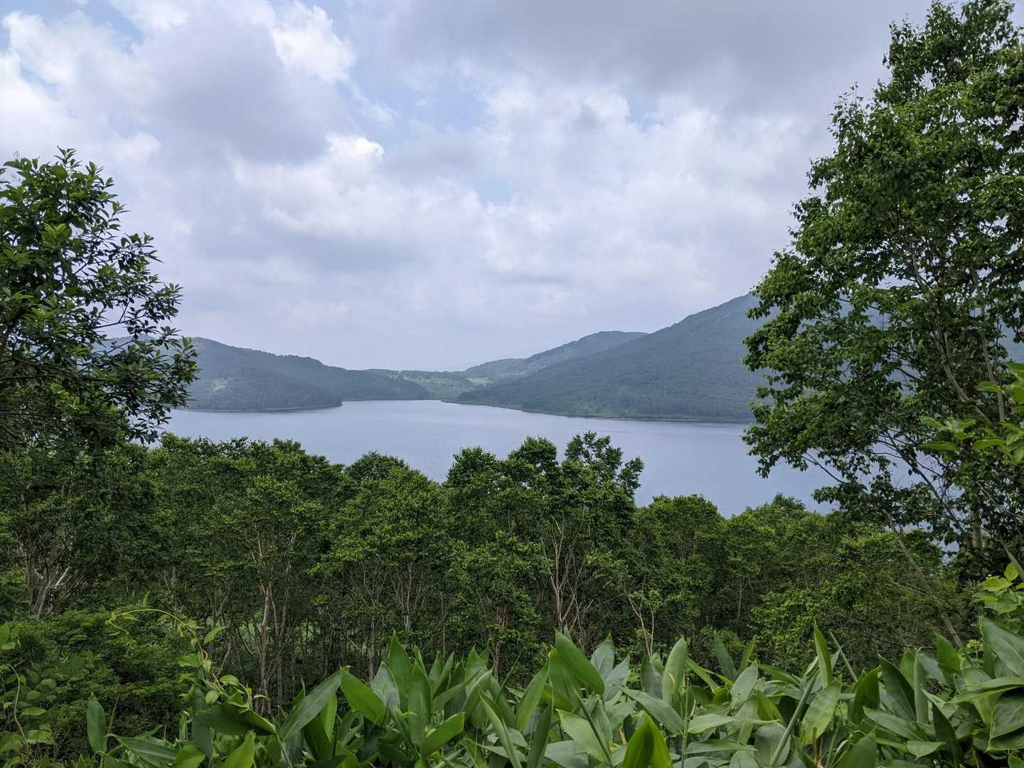 雷雨注意報が出たので八間山への周回コースを諦めロードを選択💦⤵️