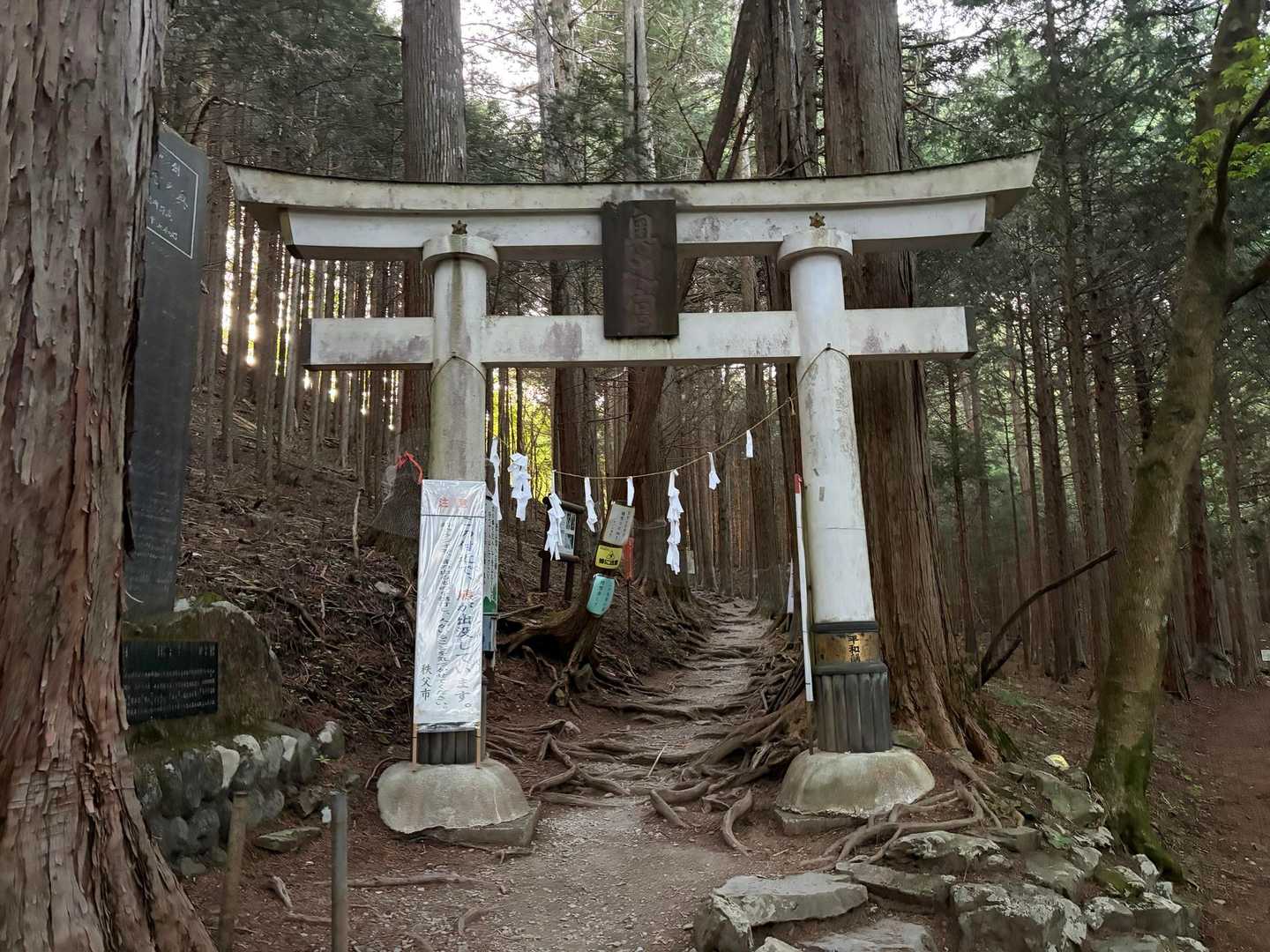 雲取山往復 | 関東屈指のパワースポット三峯神社から目指す東京最高峰の写真