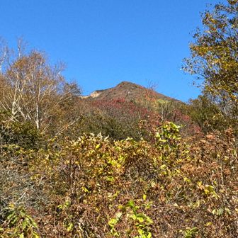 青空、山、紅葉🍁のコントラストが素敵です。