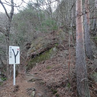 左手に下ります。(登りじゃないんだ⋯)