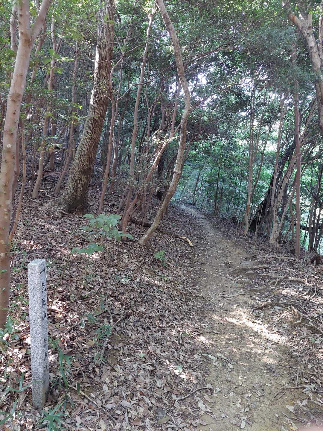 大泉神社-気延山-八倉比売神社-阿波史跡公園管理事務所 縦走コースの写真