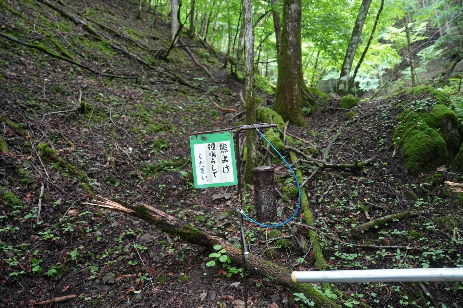 ようやく主の登山道に合流し　無事下山
山中では一人も会わなかった
登るなら春か秋が良いかもね