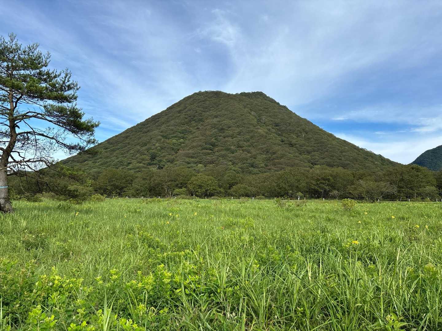 榛名富士とユウスゲ