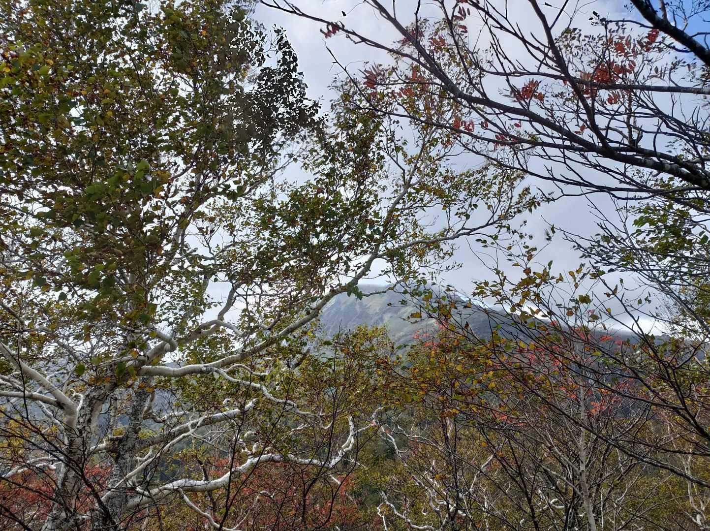 夕張岳がガスったり晴れたり😏