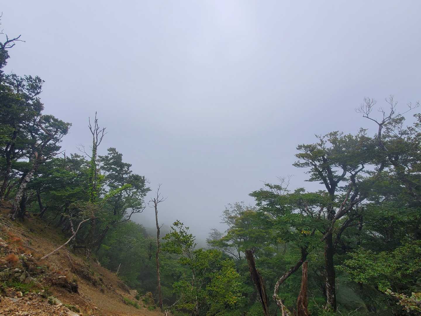 大峰山は心眼でね👀
まさか向こうが青空だったとは…