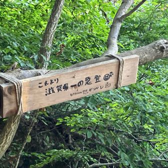 ヨシ、ココまで来ました。
名物プレート、もっと頑張る！