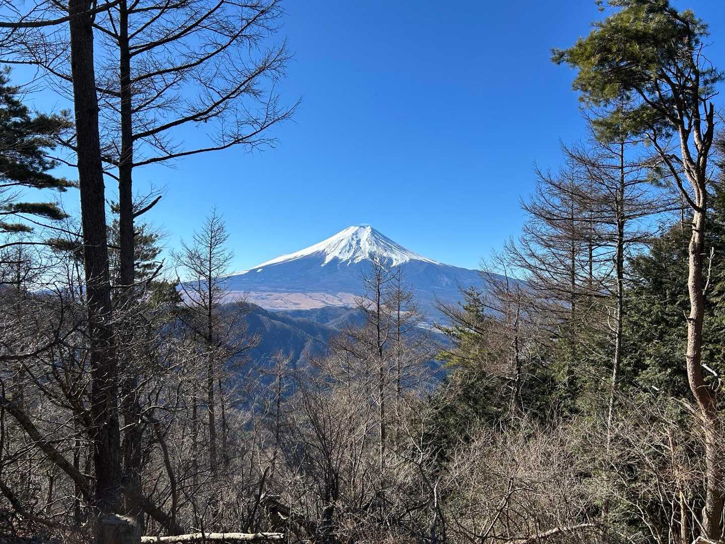 東桂駅-倉見山-寿駅 縦走コースの写真