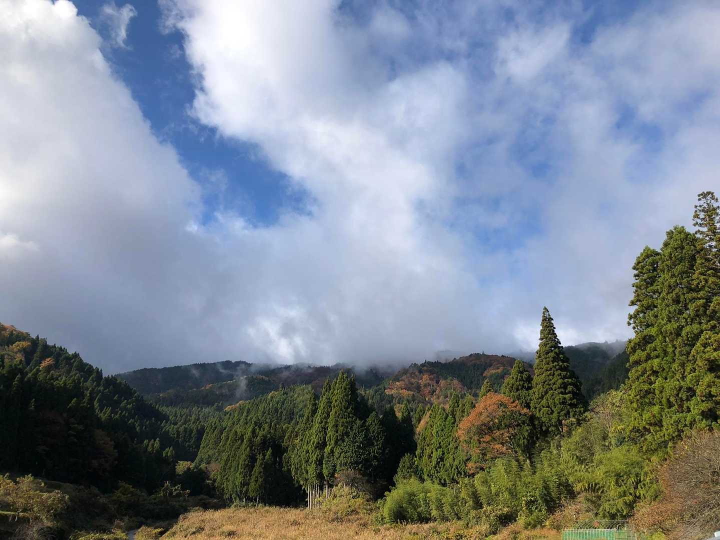 朝の雨降りはどーなることやら…と心配でしたが
シットリとした紅葉の樹林帯の歩行は目も楽しめ
落ち葉を踏み締めながらの登山道は更に色鮮やか
冬山登山でまた訪れる予定のお山という事で
地図読みルーファイやロープワークの確認も👍😊
帰りのバス時間と電車🚃時間の乗り継ぎにはチームワークの良さが発揮されて予定通りに無事帰宅となりました