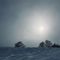 snowlike
