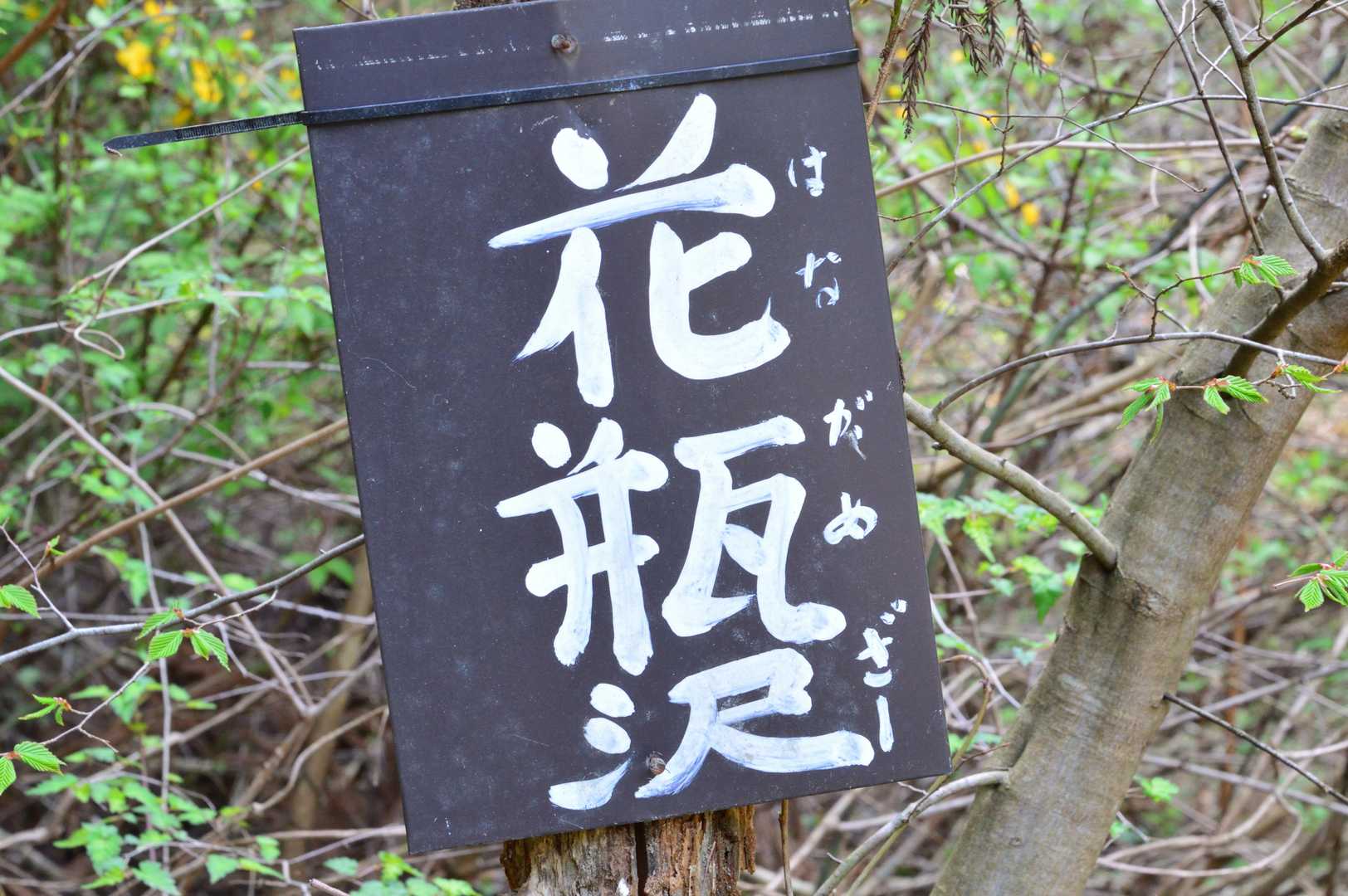 ふりがながびみょーなんだが...