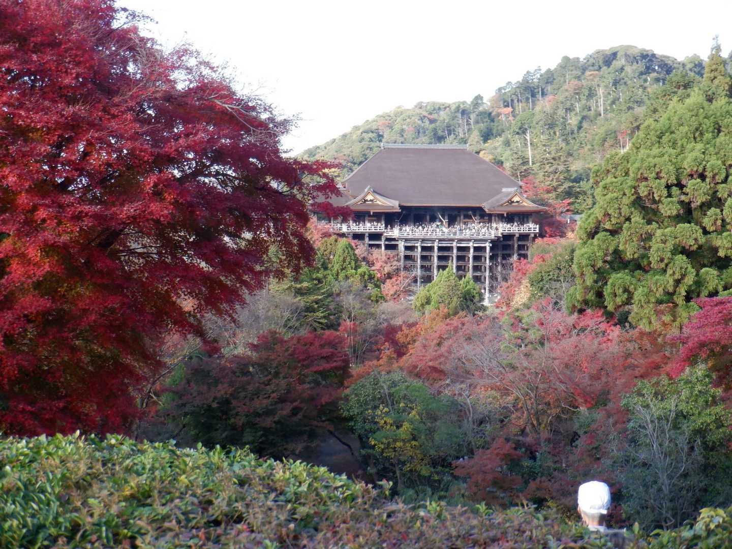 阿弥陀ヶ峠-京都一周トレイル東山17番登山口-清閑寺山-東 縦走コースの写真