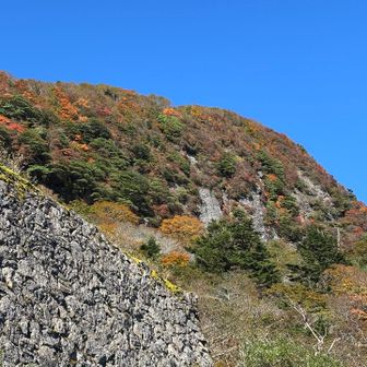 石垣の向こうに筒上山