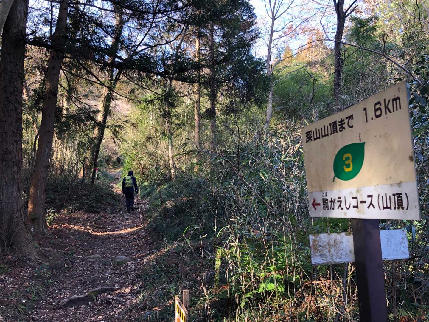 駒返しコースをチョイス