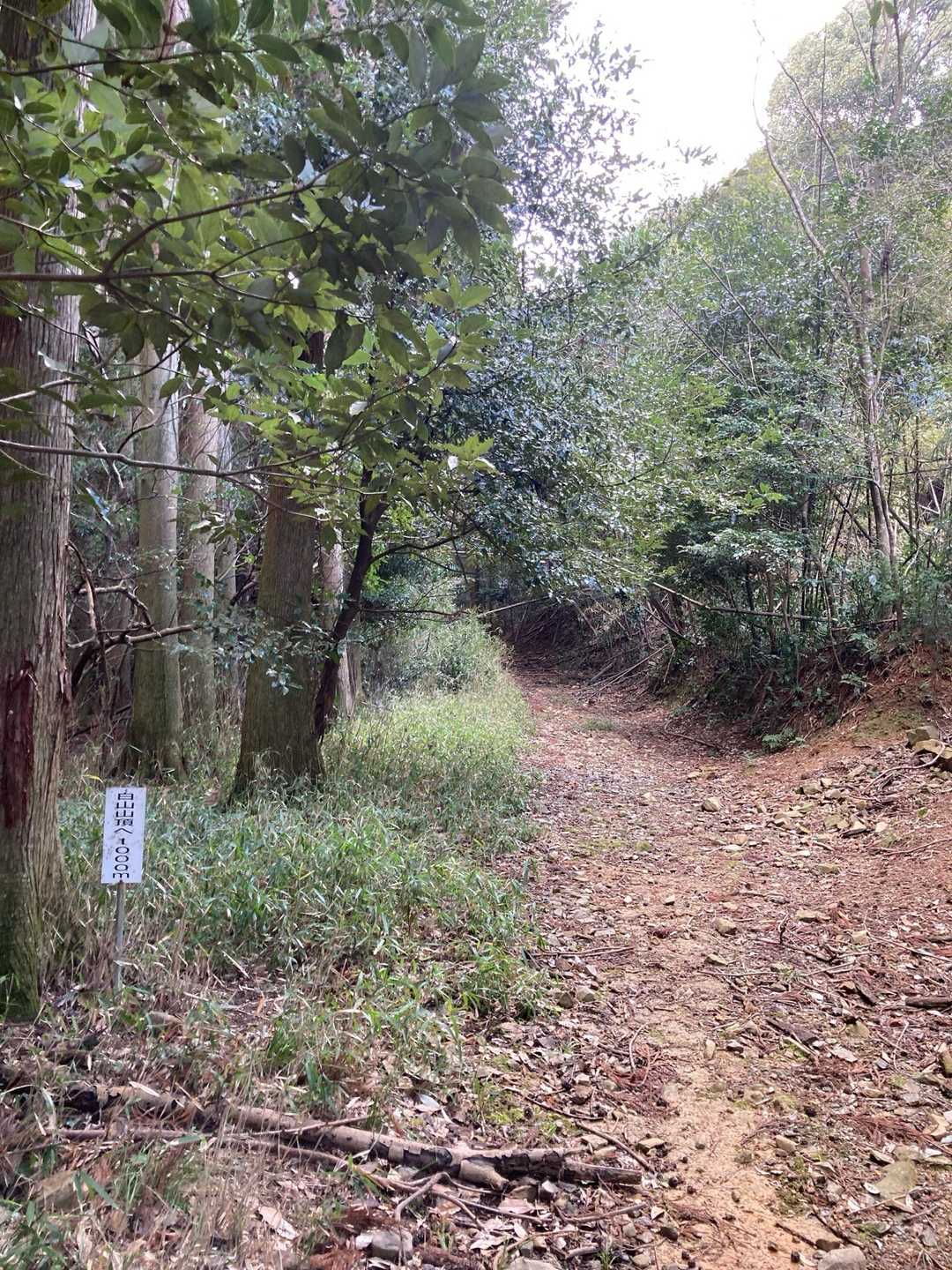 まだ1000mもあるんか😥