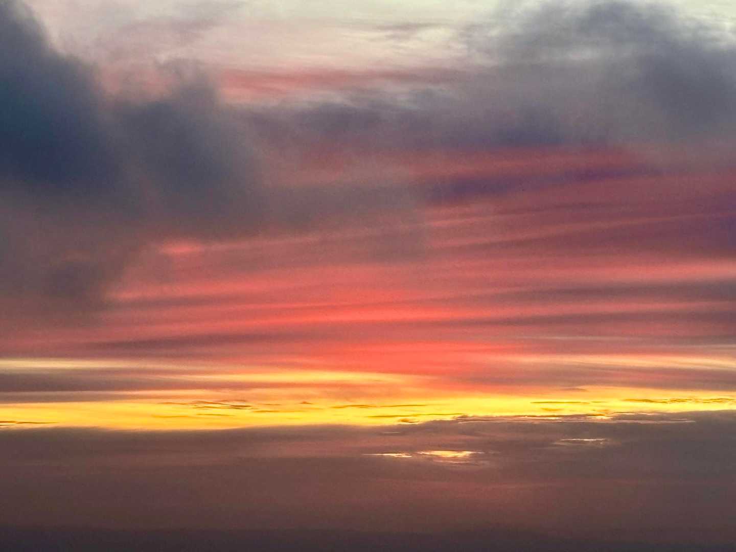 これはこれで幻想的🤩✨✨