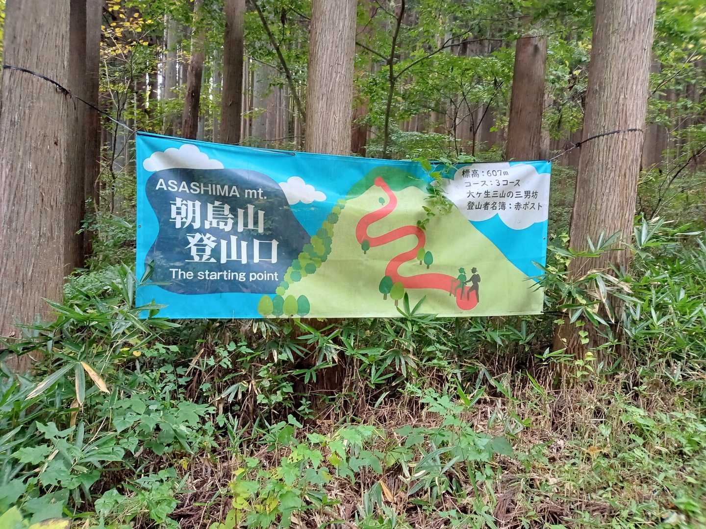帰りは林檎🍎買って帰りました〜