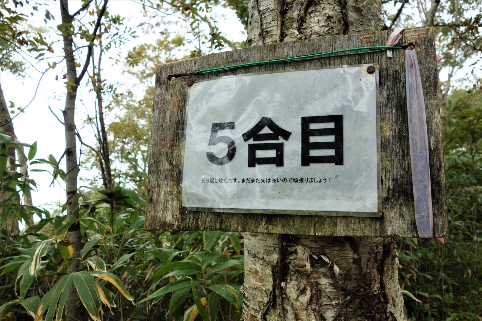 飽きてきた🤣