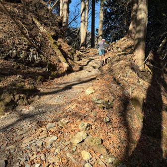 この日は修行走
ロングコースのみこの山を駆け抜けます
この方ダントツで一位(°▽°)
凄いとしか言いようがない