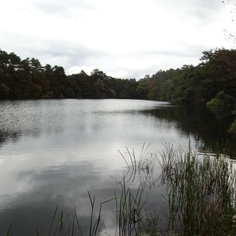 柳沼
朝の場所まで戻ってきました。