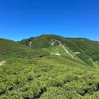 檜尾岳を振り返る。