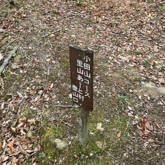 里山あーと村側の登山口に着きました
