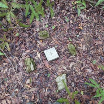 たぶん松茸山の山頂