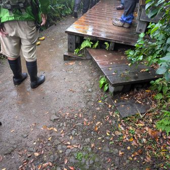 山頂こんな感じ