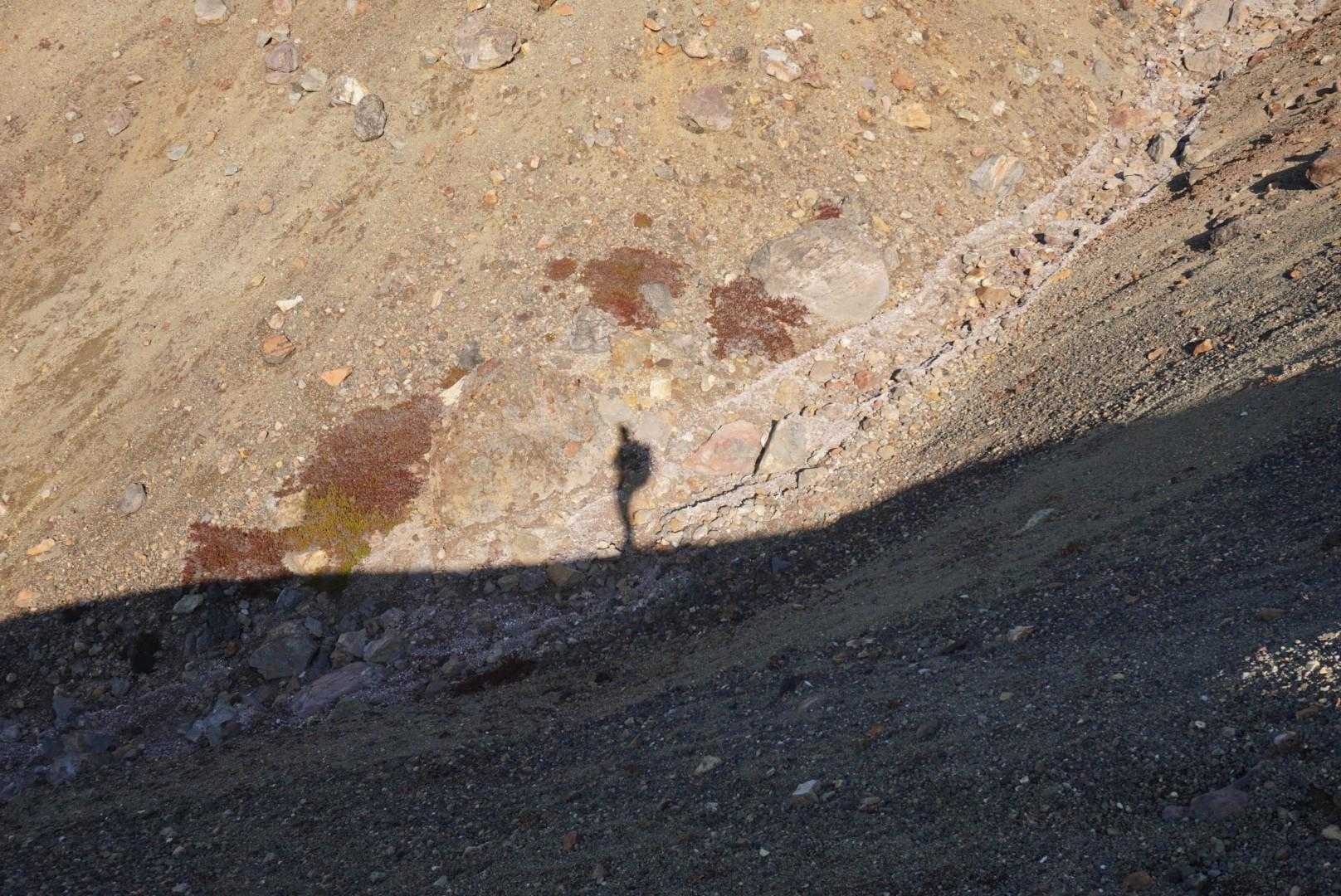 雌阿寒温泉登山口-雌阿寒岳-阿寒富士 往復コースの写真