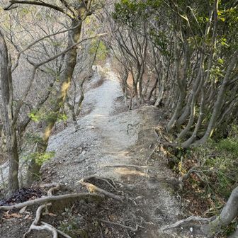 燕岳みたいできれい