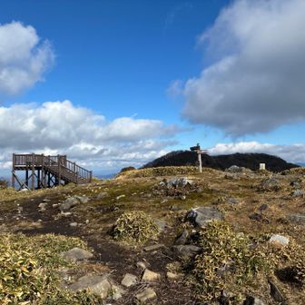 ここも広くていい感じ
