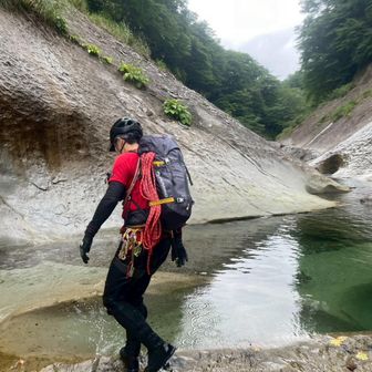 ベンガルワシミミズク氏家