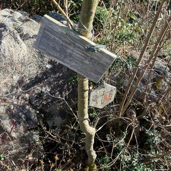 裏観現 87番霊場？
作礼遍路の木札…お遍路
やはり、巡る路があるようです。