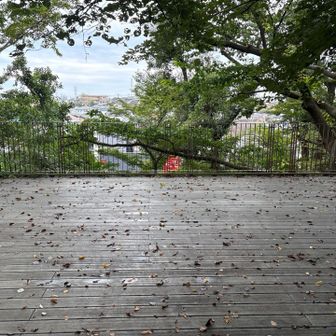 さて最後はもみじやま公園へ。この辺りが山頂ランドマーク扱いだけど、デッキでは？ 人工構造物でいいのか…！？
