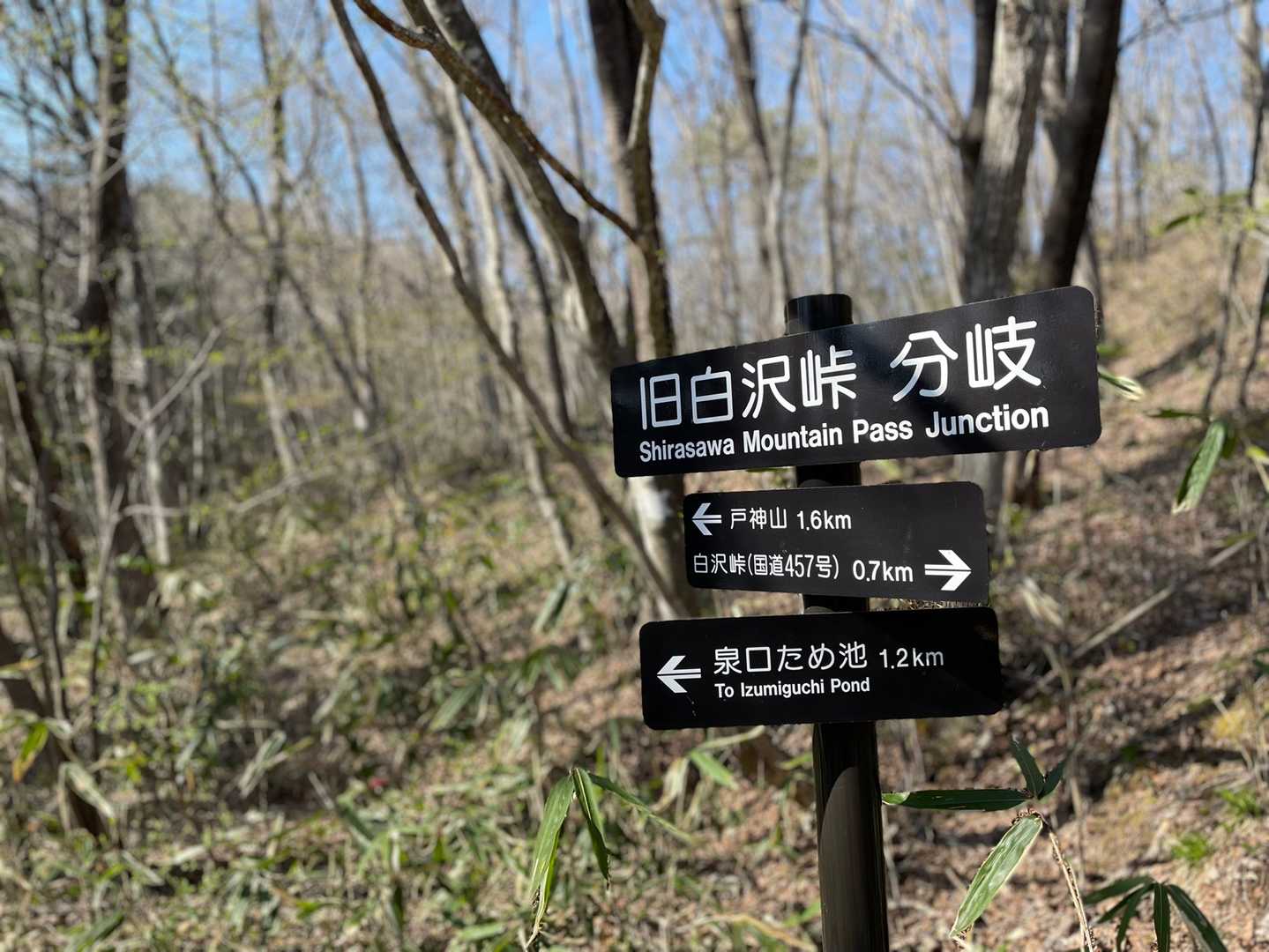 洞窟目指して探検です
泉口ため池の方へ少し下ります