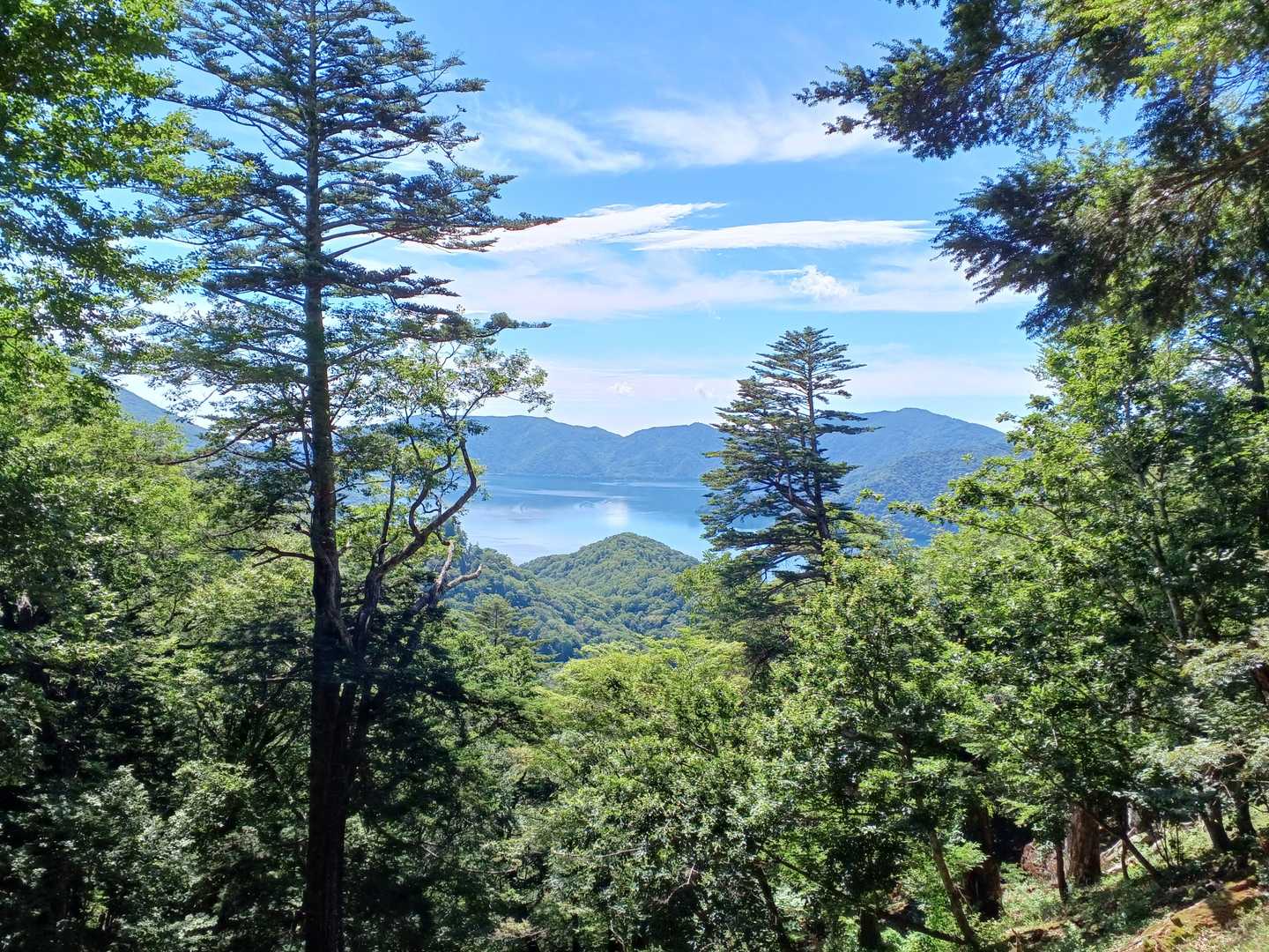 めっちゃ良い天気☀️